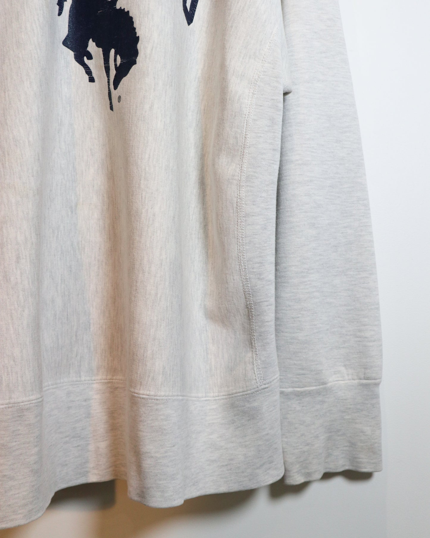 c. 1990s Champion Reverse Weave “Wyoming” Sweatshirt - Size L