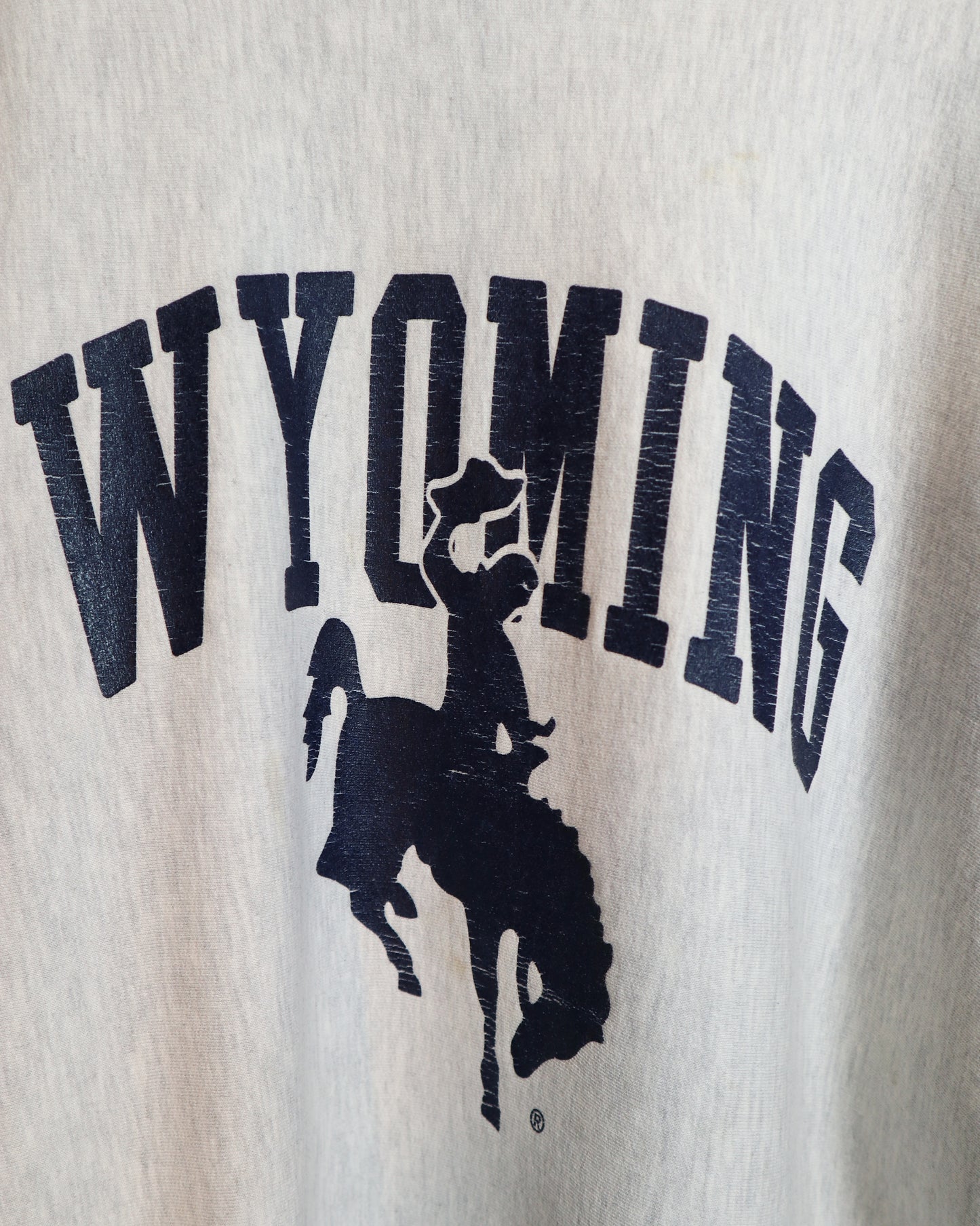 c. 1990s Champion Reverse Weave “Wyoming” Sweatshirt - Size L